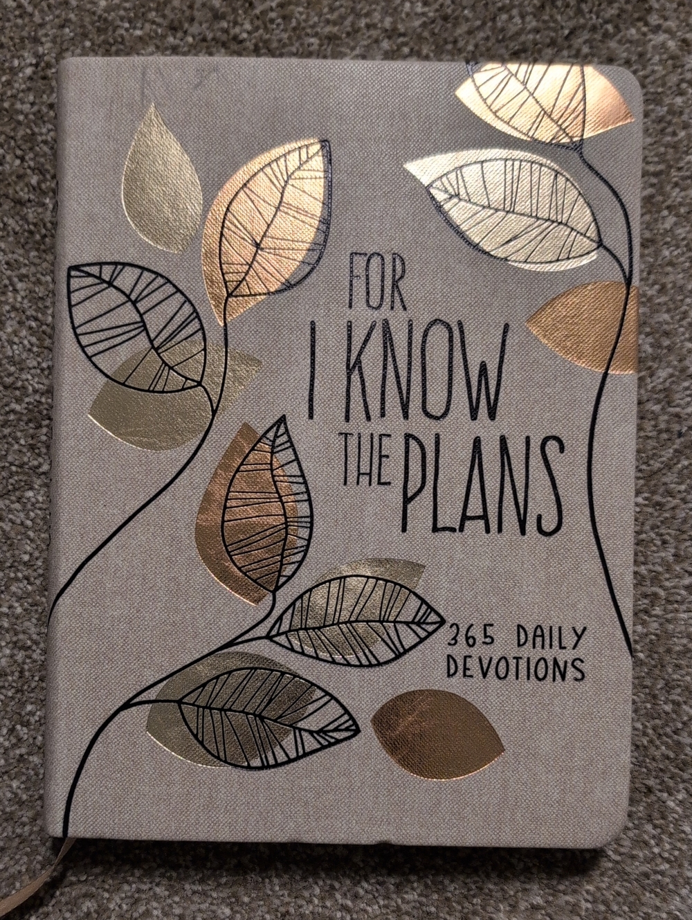 NWT 365 Daily Devotions Journal